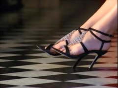 Playboy Video Playmate Calendar 2006 - Destiny Davis