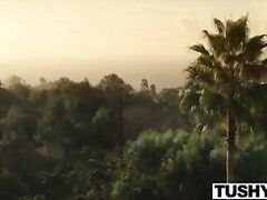 TUSHY Cheating Housewive Dana DeArmond Loves Anus