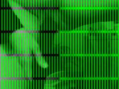 Baseballbat in pussy